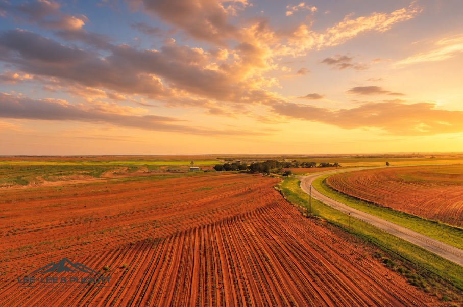Ammons Farm Photo