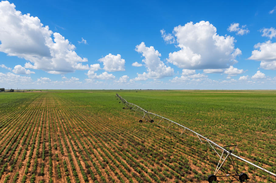 Gaines County Farm Photo