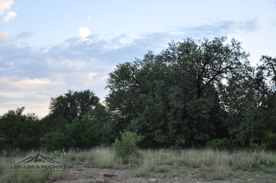 Highway 277 Ranch Photo