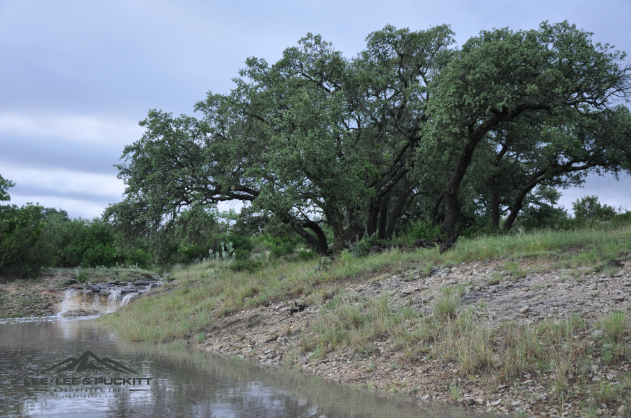 Highway 277 Ranch Photo
