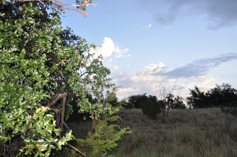 Highway 277 Ranch Photo