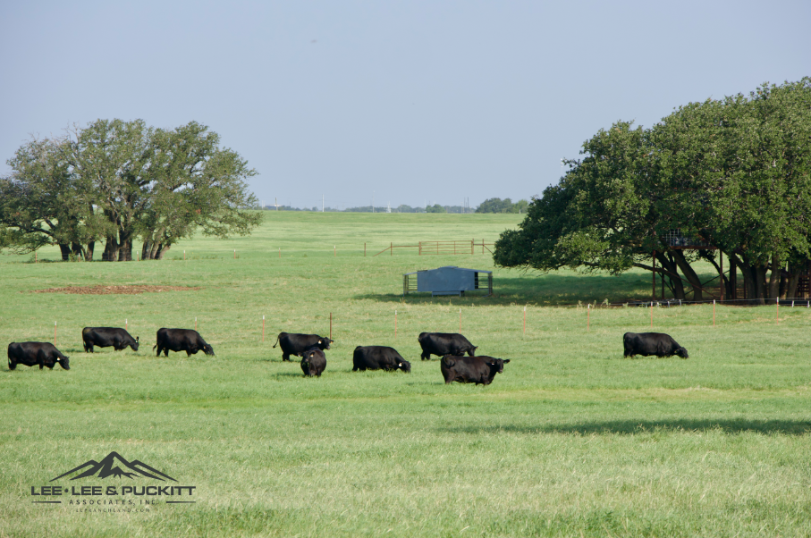 Swanson Farm Photo