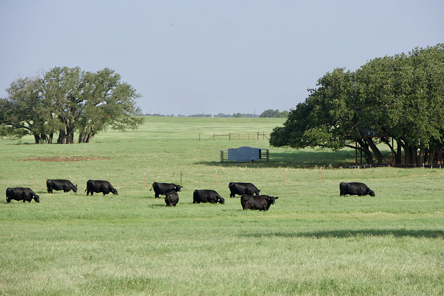Swanson Farm Photo