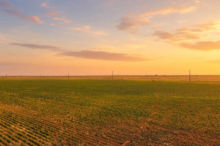 Gaines County Farm Photo