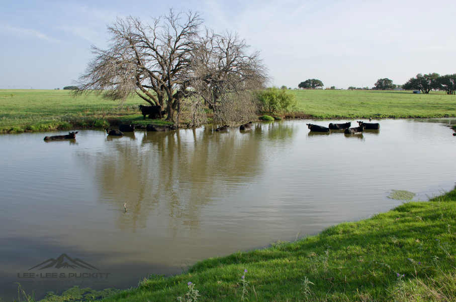 Swanson Farm Photo