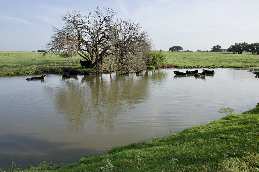 Swanson Farm Photo
