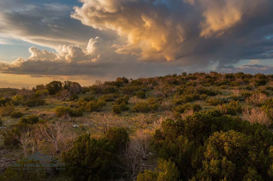 Landers Ranch Photo