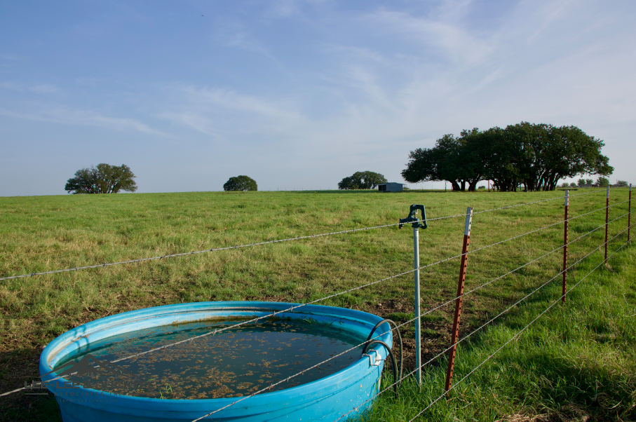 Swanson Farm Photo