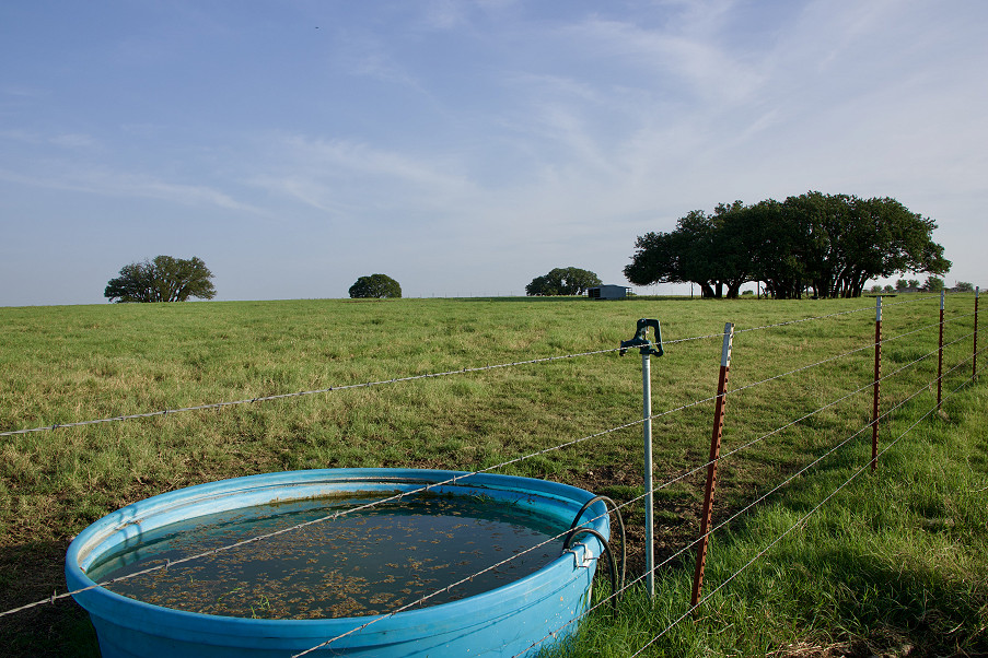 Swanson Farm Photo