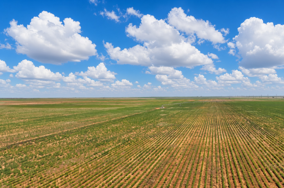 Gaines County Farm Photo