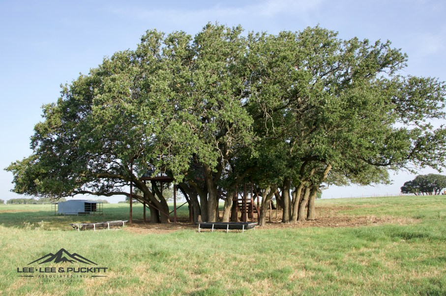 Swanson Farm Photo