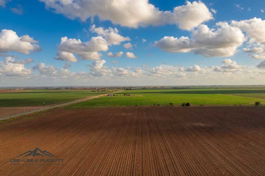 Wilde - Garcia Farm Photo