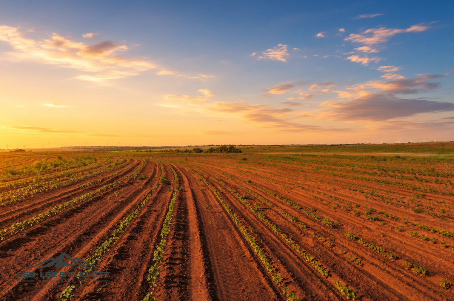 Ammons Farm Photo