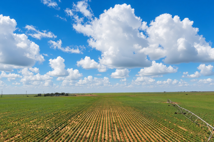 Gaines County Farm Photo