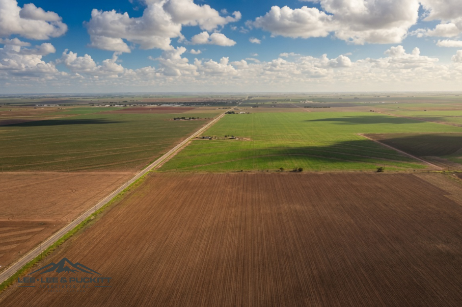 Wilde - Garcia Farm Photo