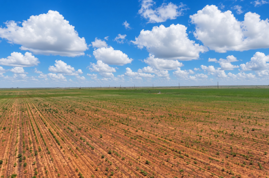 Gaines County Farm Photo