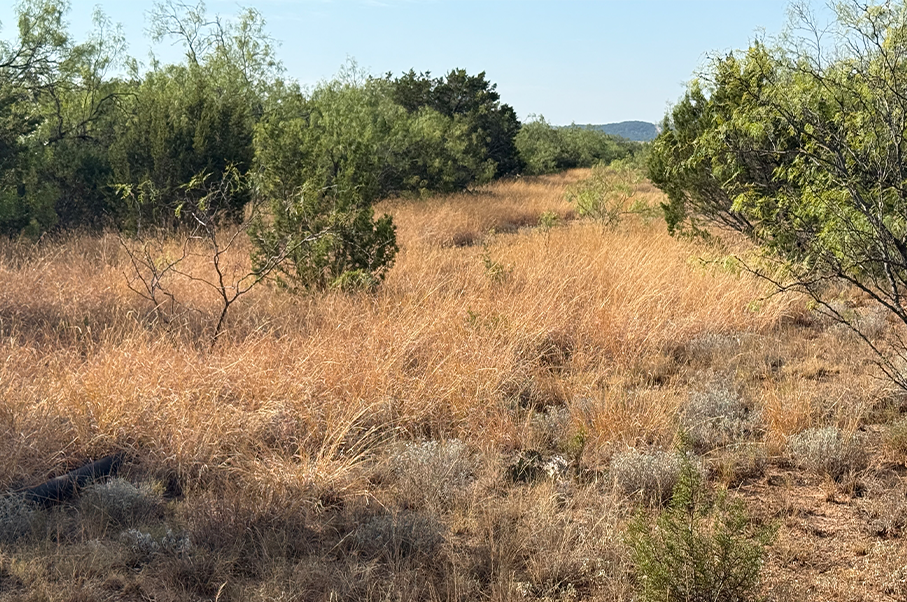 160 Ranch Photo