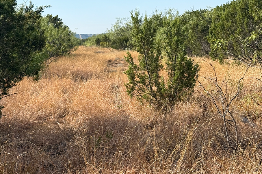 160 Ranch Photo
