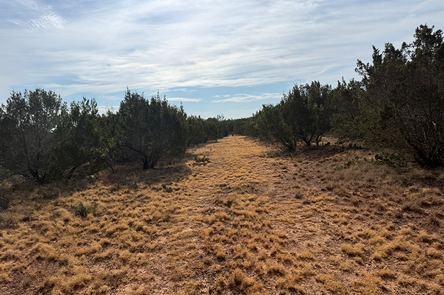 160 Ranch Photo