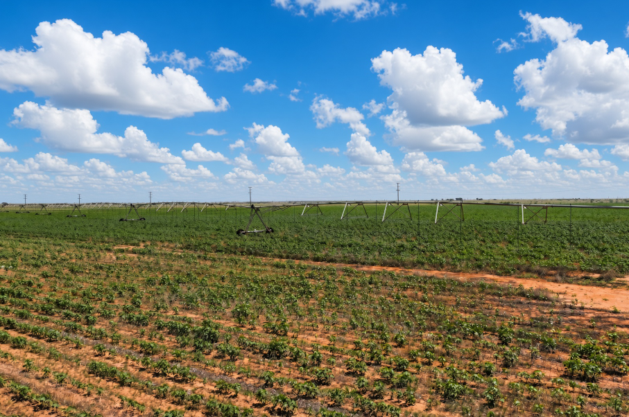 Gaines County Farm Photo