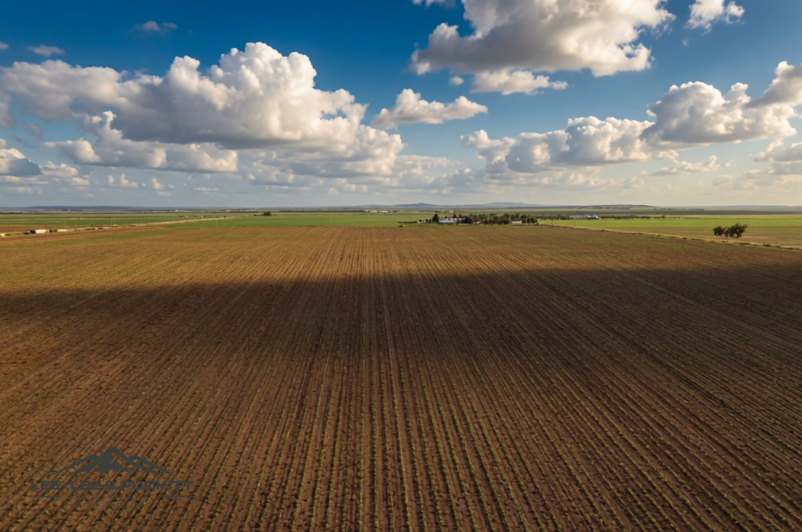 Wilde - Garcia Farm Photo