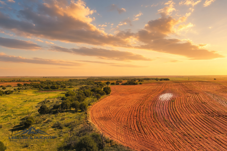 Ammons Farm Photo