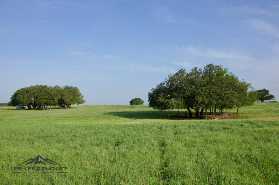 Swanson Farm Photo