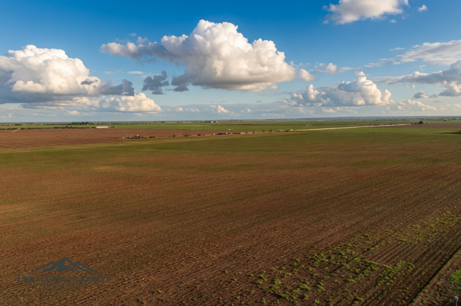 Wilde - Garcia Farm Photo