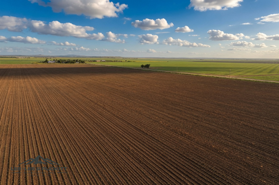 Wilde - Garcia Farm Photo