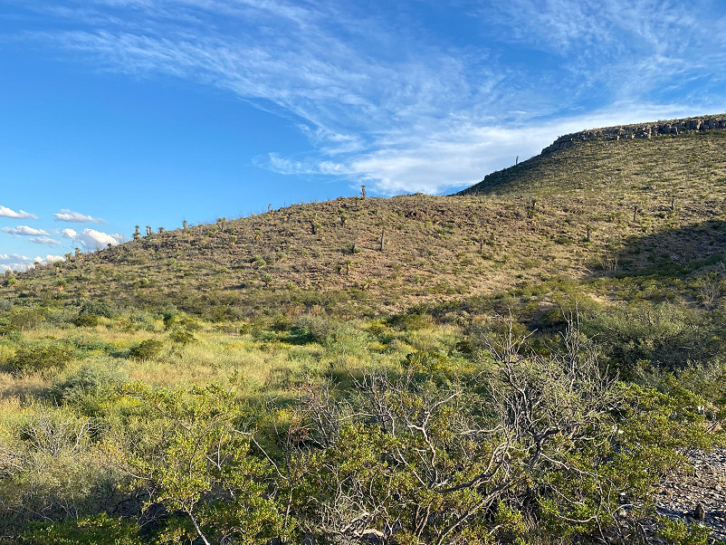 Wilken Ranch Photo