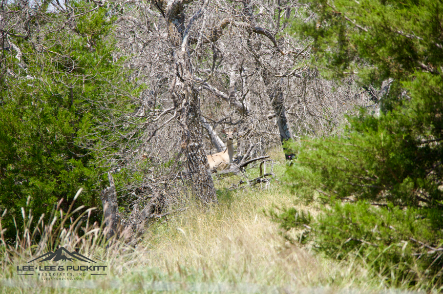 Lord Ranch Photo