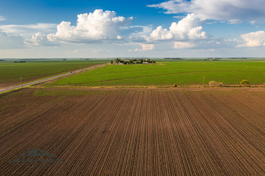 Wilde - Garcia Farm Photo
