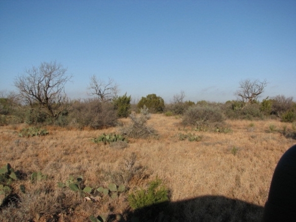 High View Ranch Photo