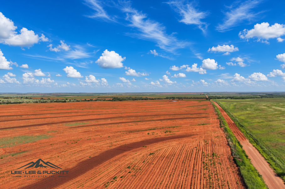 Ammons Farm Photo