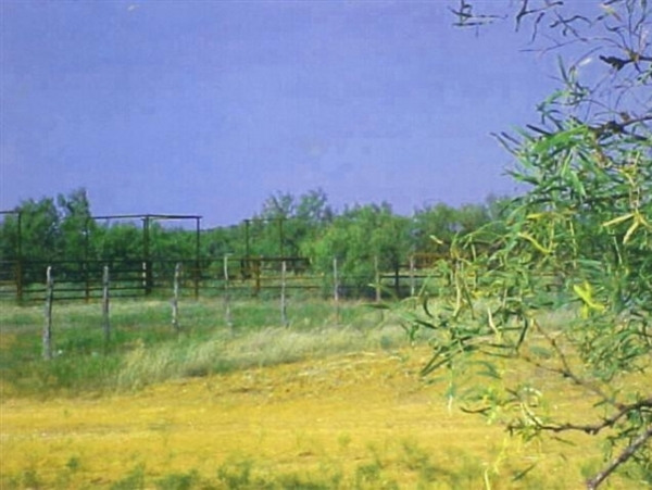 Wendel Ranch Photo