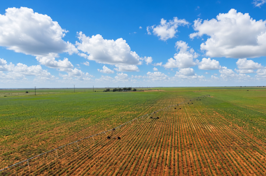 Gaines County Farm Photo