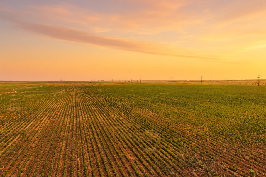 Gaines County Farm Photo