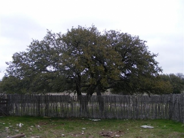 North Sutton Ranch Photo