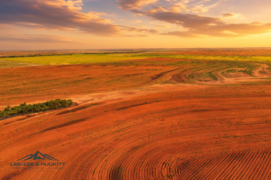 Ammons Farm Photo