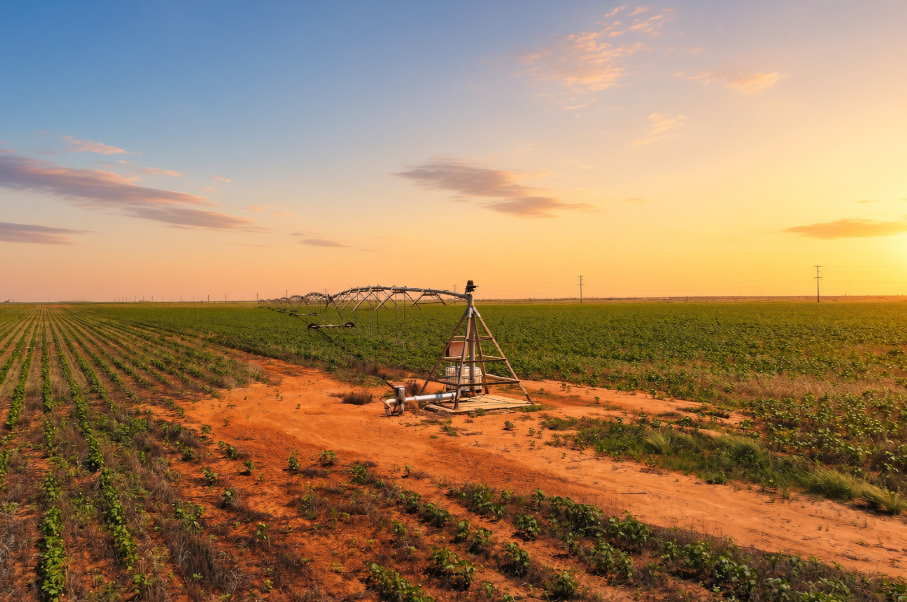 Gaines County Farm Photo