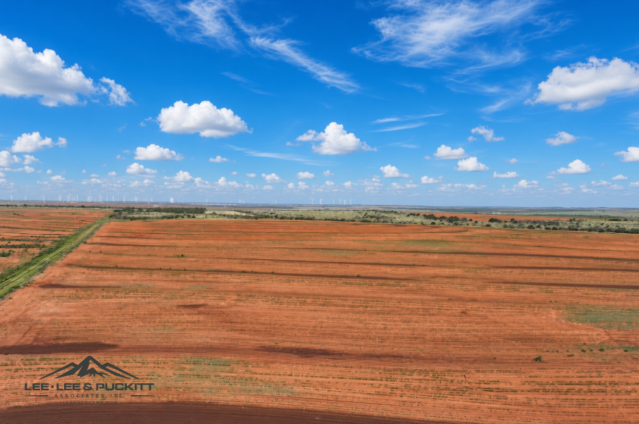 Ammons Farm Photo