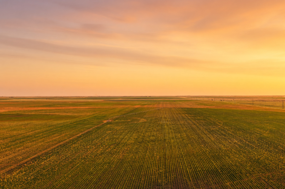 Gaines County Farm Photo