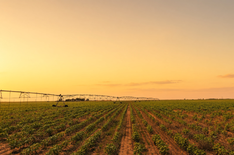 Gaines County Farm Photo
