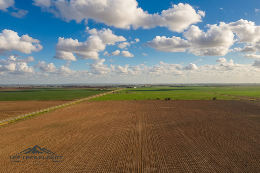Wilde - Garcia Farm Photo