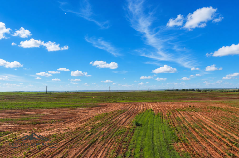 Ammons Farm Photo