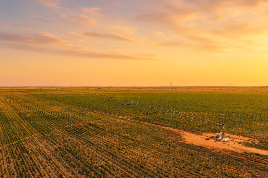 Gaines County Farm Photo