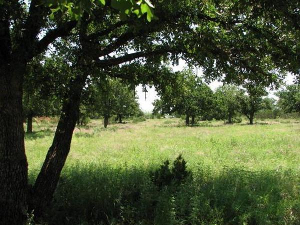 Diamond Plate Ranch Photo