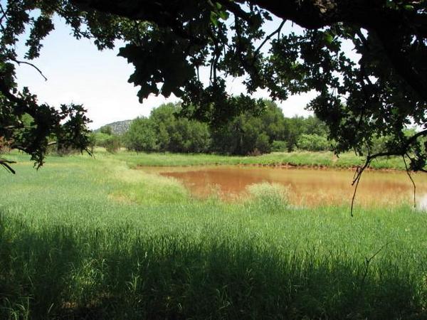 Diamond Plate Ranch Photo