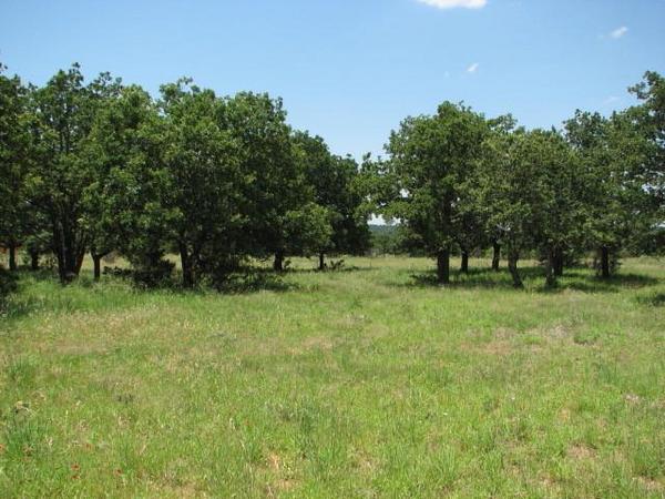 Diamond Plate Ranch Photo