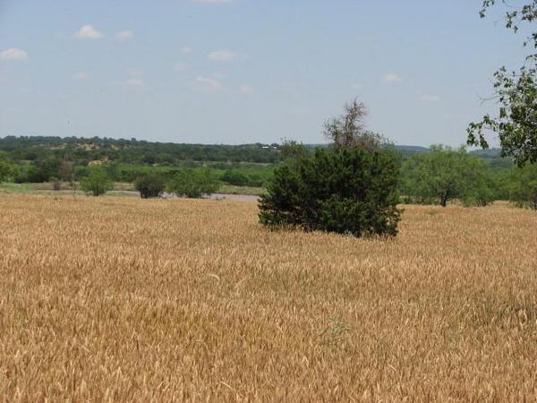 Diamond Plate Ranch Photo